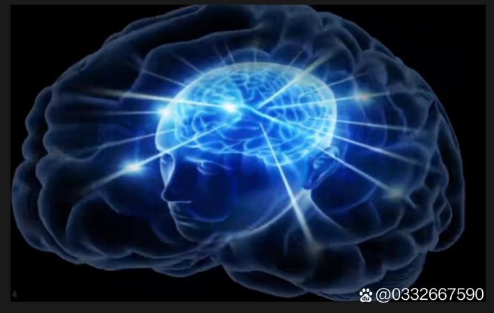 51吃瓜官网 - 关于"article-5"的爆料详情 51吃瓜官网 - 关于"article-5"的爆料详情
